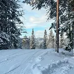 Cozy In Vinje With Wifi