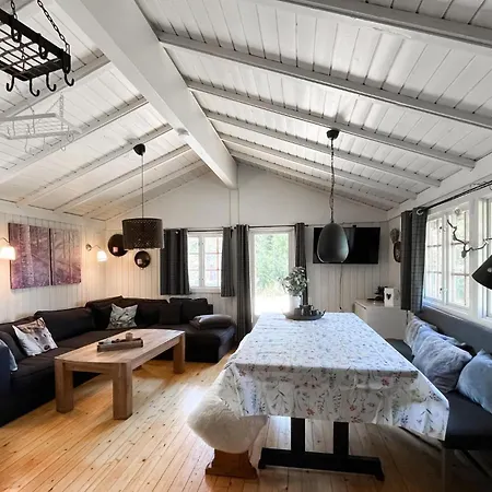Feriehus Cozy In Vinje With Wifi *